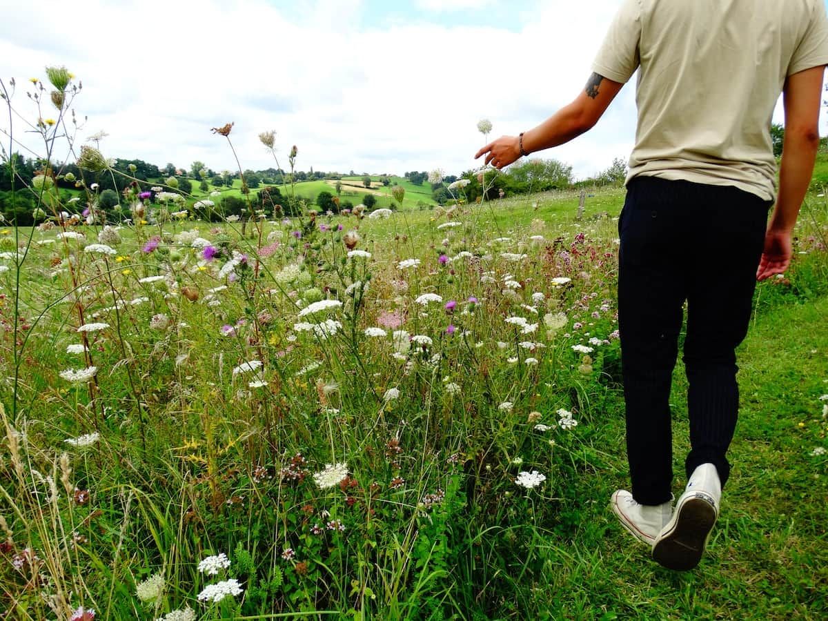 A person walking through a field of wildflowers.