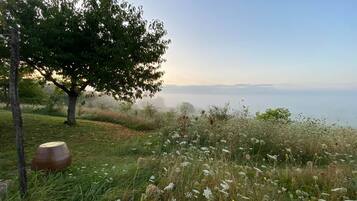 A natural landscape with a tree, grass, and wildflowers.