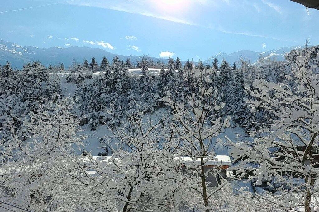 Un paisaje montañoso con árboles cubiertos de nieve y cielo despejado.