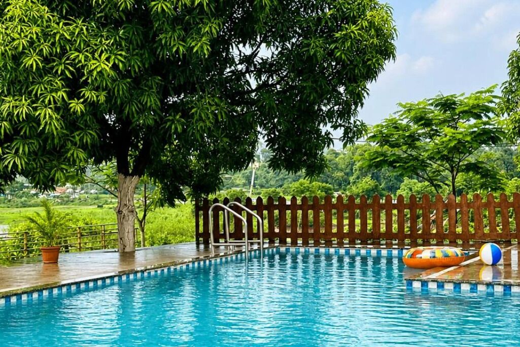 A swimming pool with a wooden fence, surrounded by lush greenery and trees.