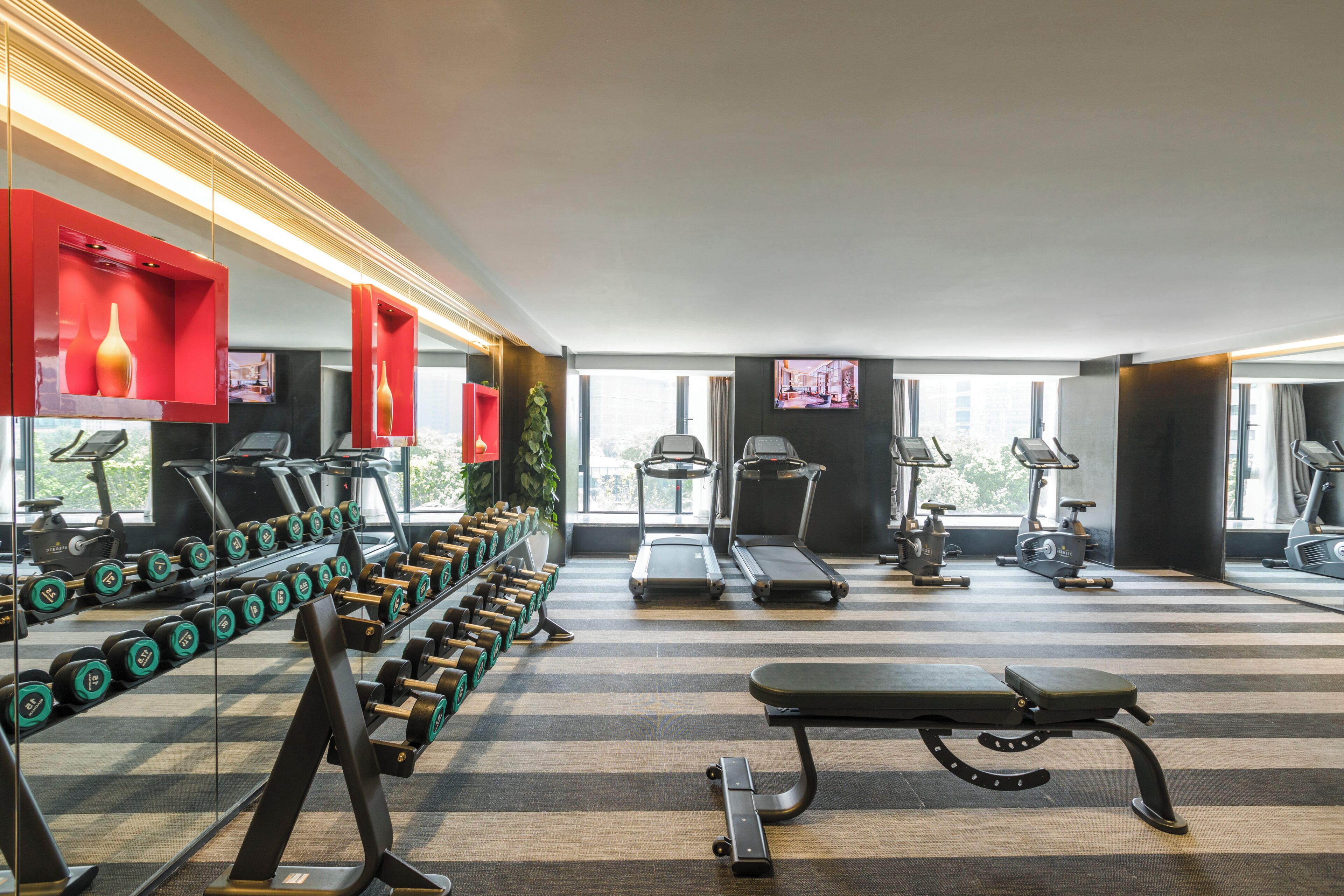 A gym with treadmills, dumbbells, and exercise equipment.