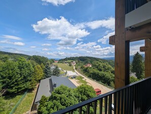 A view from a balcony overlooking a rural landscape with houses, trees, and a dirt road.