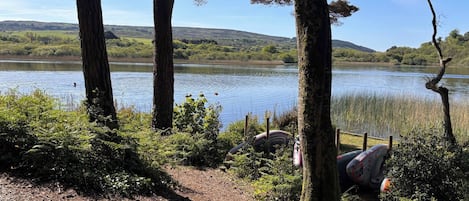 Vista de un lago con árboles, un camino de grava y un bote.
