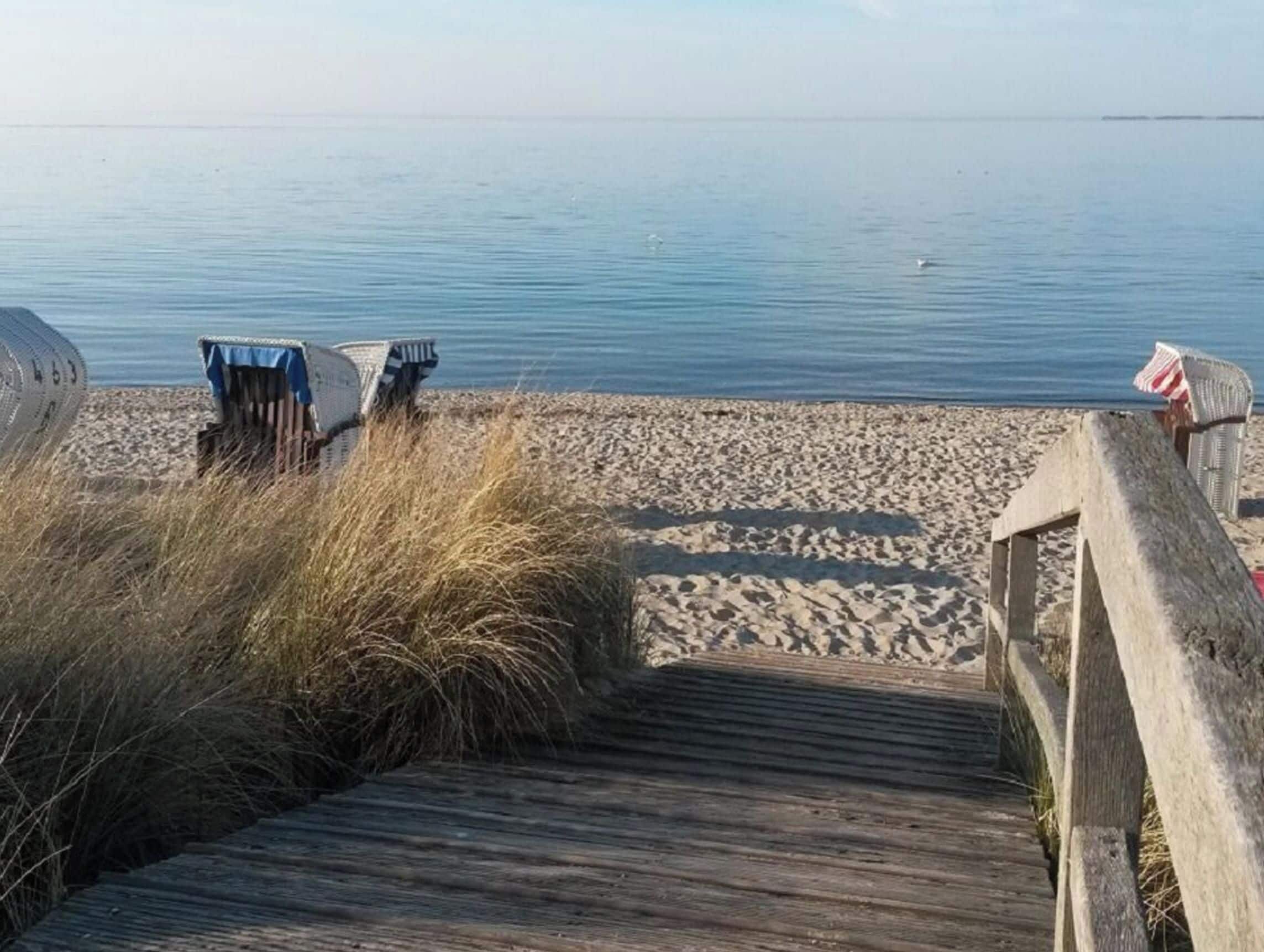 Ein hölzerner Steg führt zu einem Sandstrand, im Hintergrund liegt ruhiges Wasser.