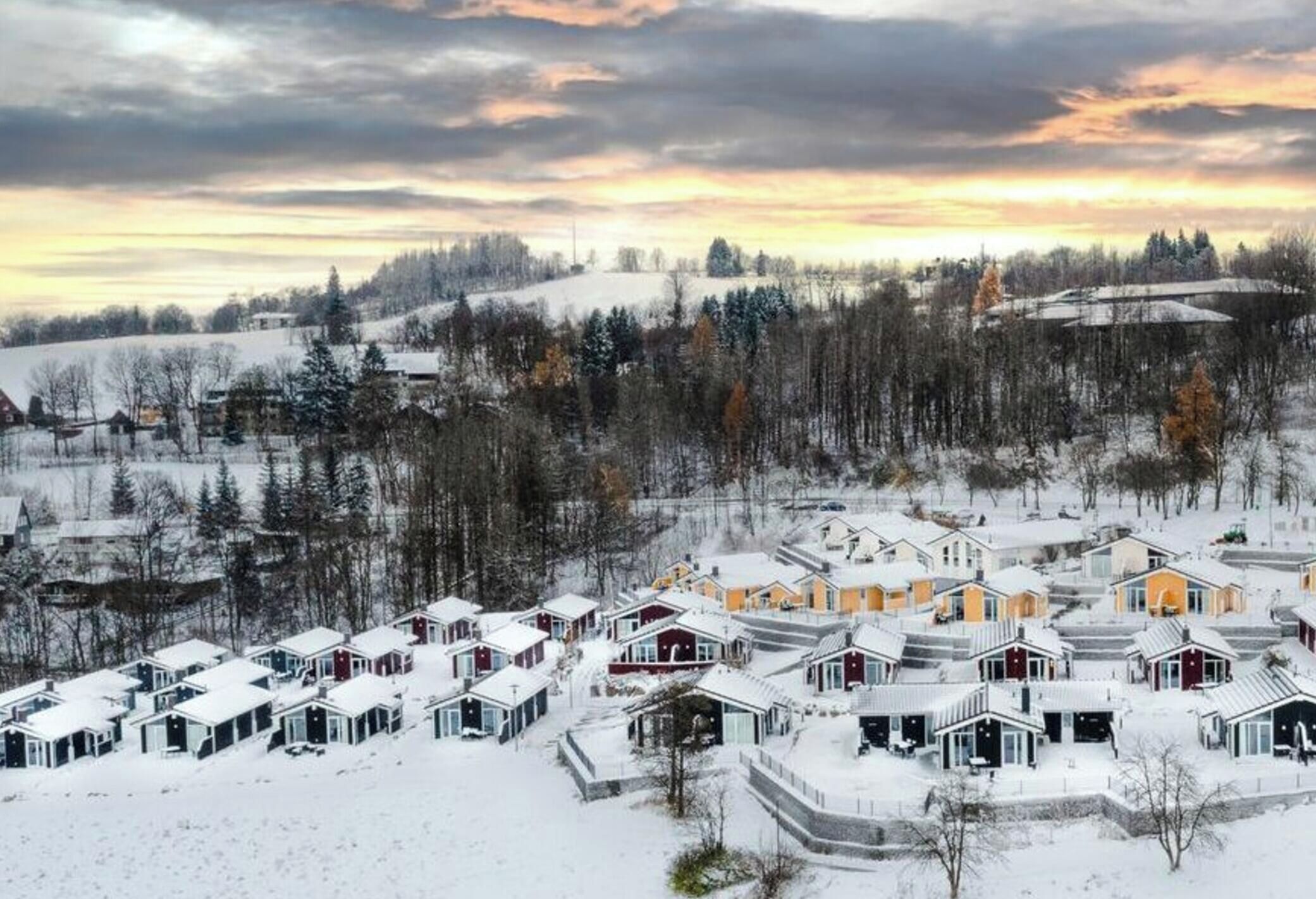 Un área residencial cubierta de nieve con varias casas, algunas con garajes adjuntos, y un bosque denso al fondo.