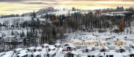 Un área residencial cubierta de nieve con varias casas, algunas con garajes adjuntos, y un bosque denso al fondo.