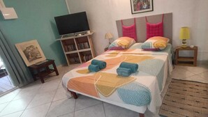 Una camera da letto con un letto, una televisione, una libreria e una lampada da comodino.