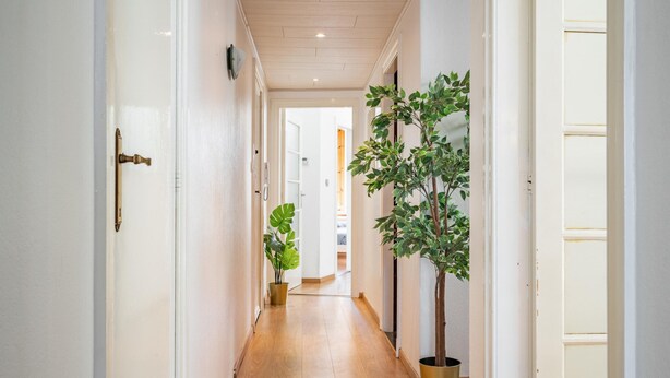 A hallway with wooden flooring, white walls, and two potted plants. - Comfortable Family Apartment With 3 Bedrooms (Antwerp)