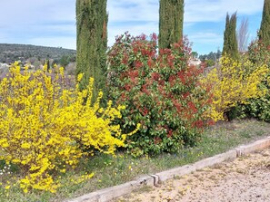 Jardim ajardinado com diversos arbustos e árvores, incluindo plantas com flores amarelas e um arbusto de folhas vermelhas.