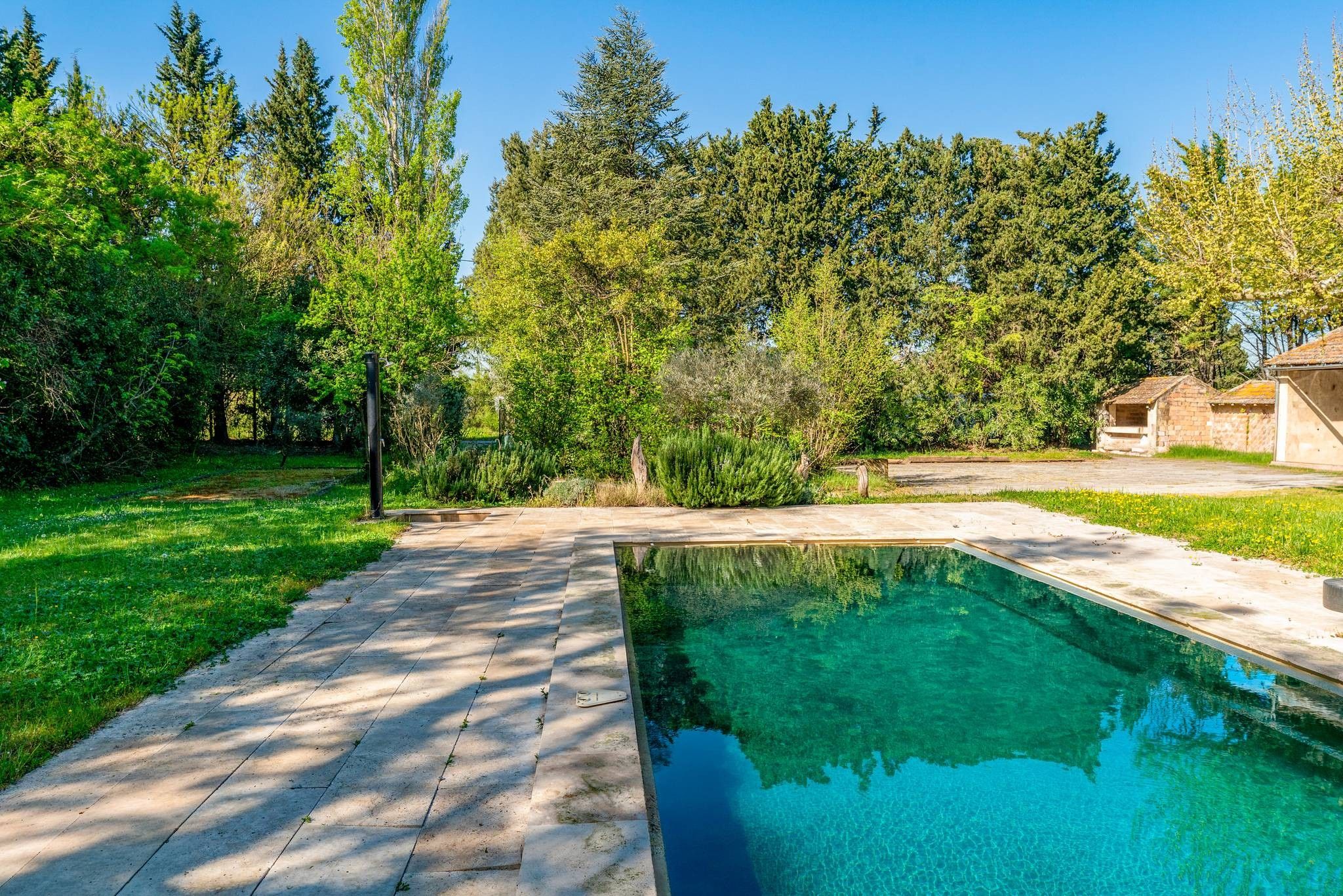 Une piscine rectangulaire à l’eau d’un bleu cristallin, entourée d’une terrasse dallée et d’une végétation luxuriante.