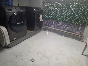 Un área de lavandería con lavadora y secadora, piso de concreto y una pared decorativa con plantas.