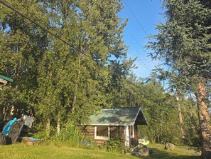 A small cabin with a green roof surrounded by dense forest.