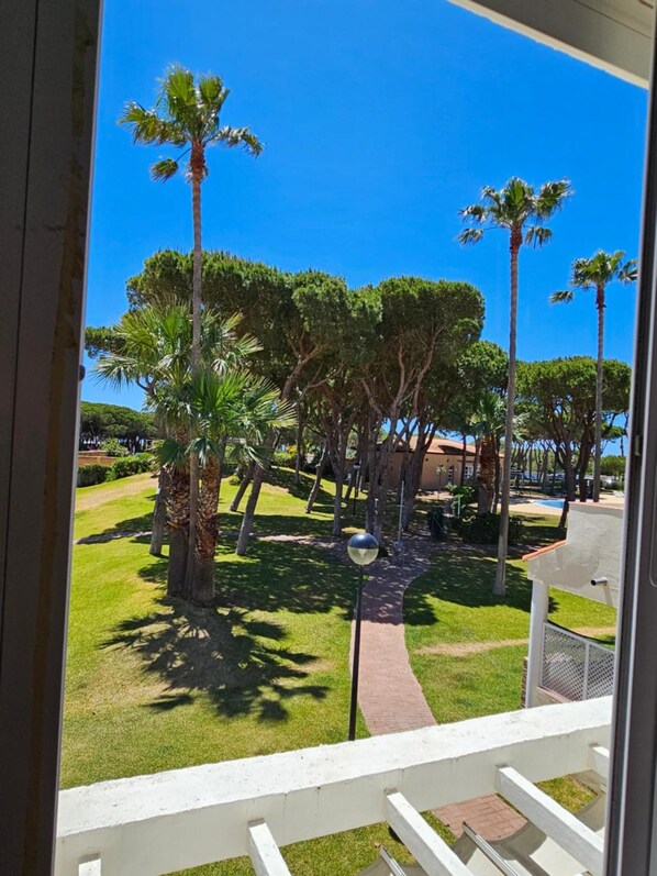A view of a well-maintained outdoor area with palm trees and a clear blue sky.