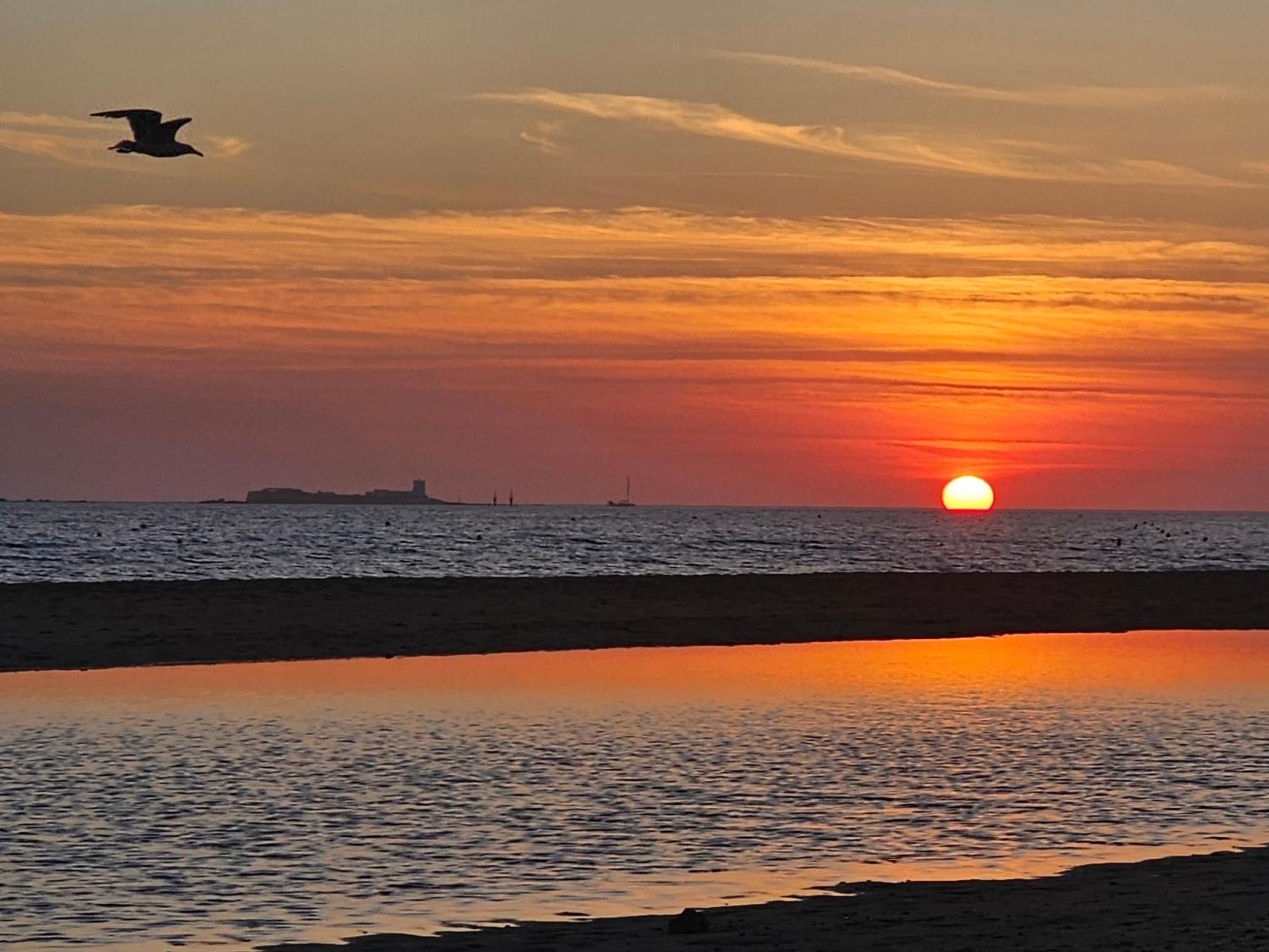 Solnedgang over et roligt hav med en silhuet af en fugl i flugt, og en fjerntliggende kystlinje med bygninger.