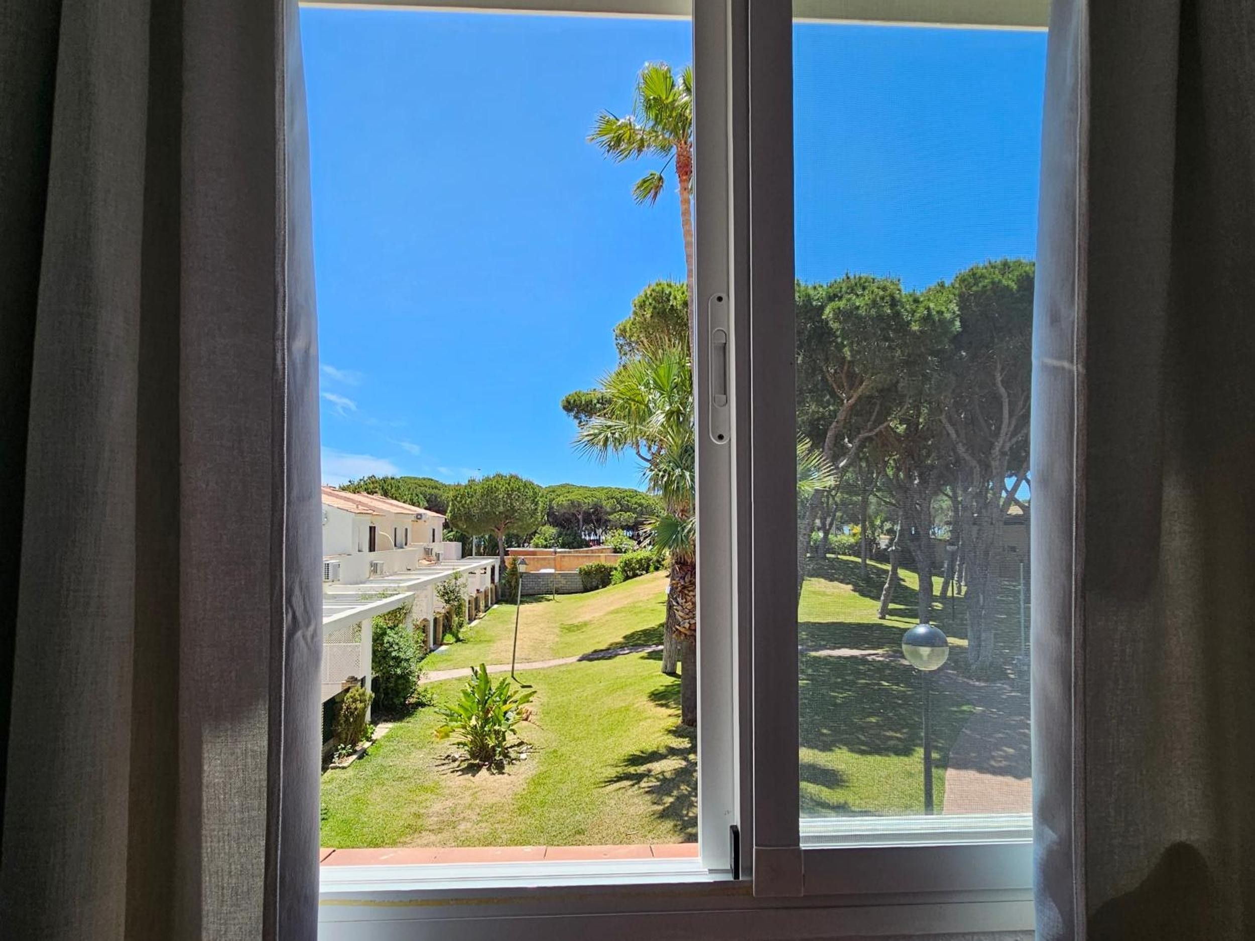 A window with a view of a courtyard with palm trees, a pathway, and a building with a red roof.