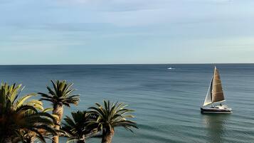 Una platja amb palmeres, un veler i un edifici amb teulada inclinada.