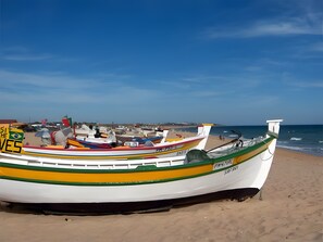 Una filera de barques sobre una platja sorrenca, amb l'oceà al fons.
