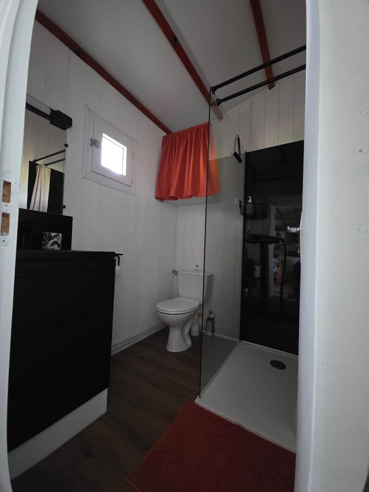 Un bagno compatto con un WC bianco, cabina doccia in vetro e tappetino da bagno rosso.