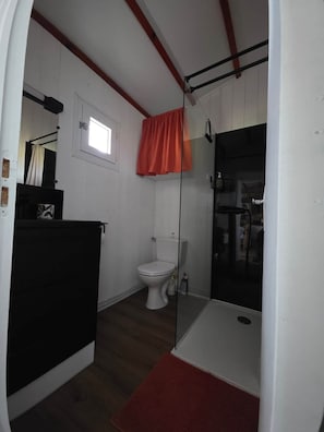 A compact bathroom with a white toilet, a glass shower enclosure, and a red bath mat.