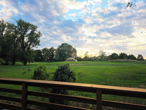 A grassy field with trees and a wooden fence.