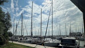 A marina with multiple sailboats docked, a grassy area, and a wooden bench.