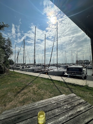 A marina with multiple sailboats docked, a grassy area, and a wooden bench.