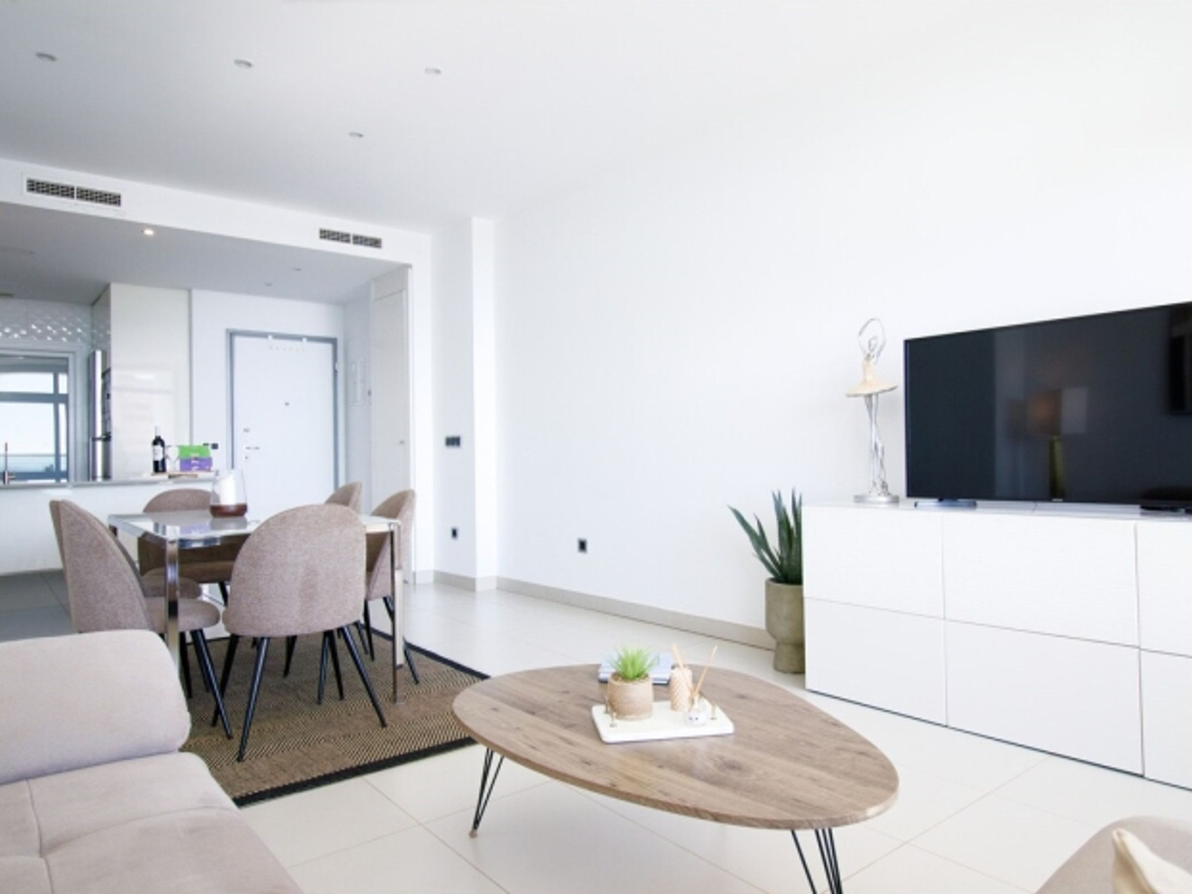 A modern living room with a flat-screen TV, a round coffee table with a plant, and a sofa.