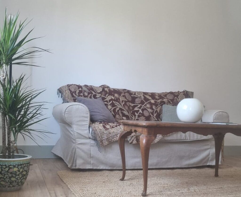 Een woonkamer met een bank, een bijzettafeltje, een plant in pot en een decoratieve plaid.