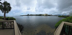 Une vue sur le front de mer, avec une terrasse en bois, un palmier et des bâtiments situés de l’autre côté de l’eau.