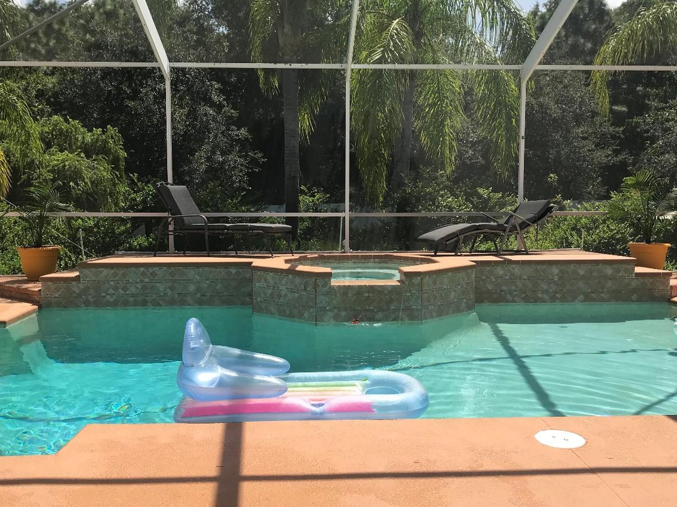En swimmingpool med en uppblåsbar delfin som flyter i vattnet, omgiven av ett staket och stolar, med träd i bakgrunden.