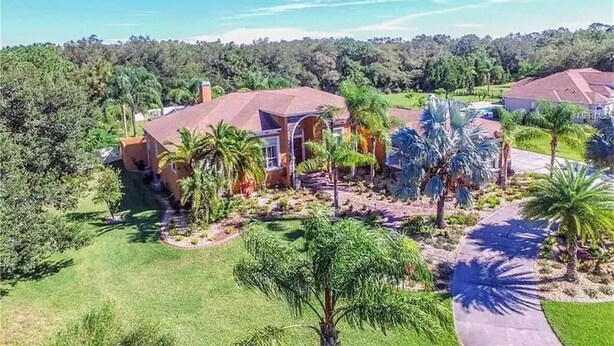 Pool - Room-secluded Paradise in Sunny Florida (New Port Richey)