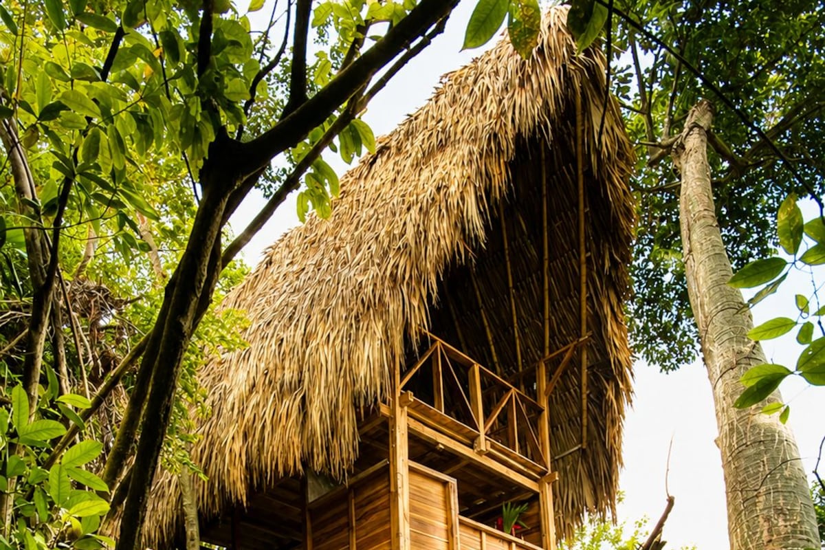 Superior Tree House, Mountain View