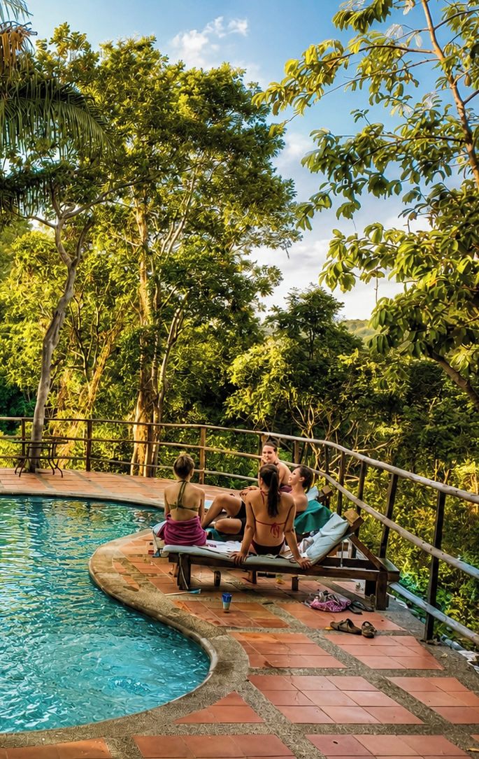Zona de piscina con borde curvo, rodeada de árboles y una terraza de madera.