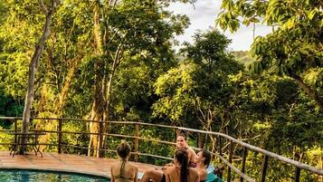 Zona de piscina con borde curvo, rodeada de árboles y una terraza de madera.