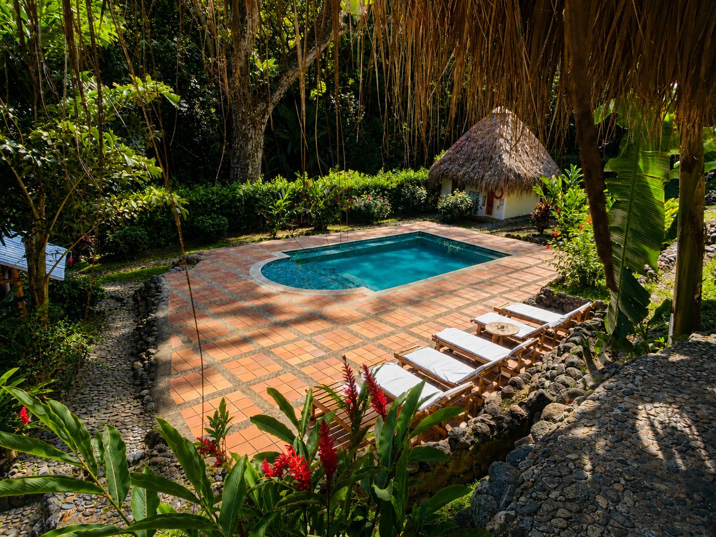 Una piscina rectangular con plataforma de baldosas, rodeada de exuberante vegetación y una estructura de techo de paja.