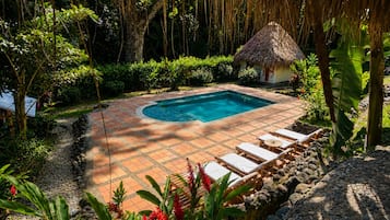 Una piscina rectangular con plataforma de baldosas, rodeada de exuberante vegetación y una estructura de techo de paja.