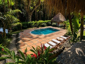 Una piscina rectangular con plataforma de baldosas, rodeada de exuberante vegetación y una estructura de techo de paja.