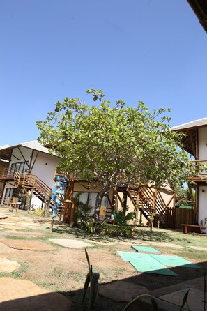 Un árbol en un patio con un edificio al fondo.