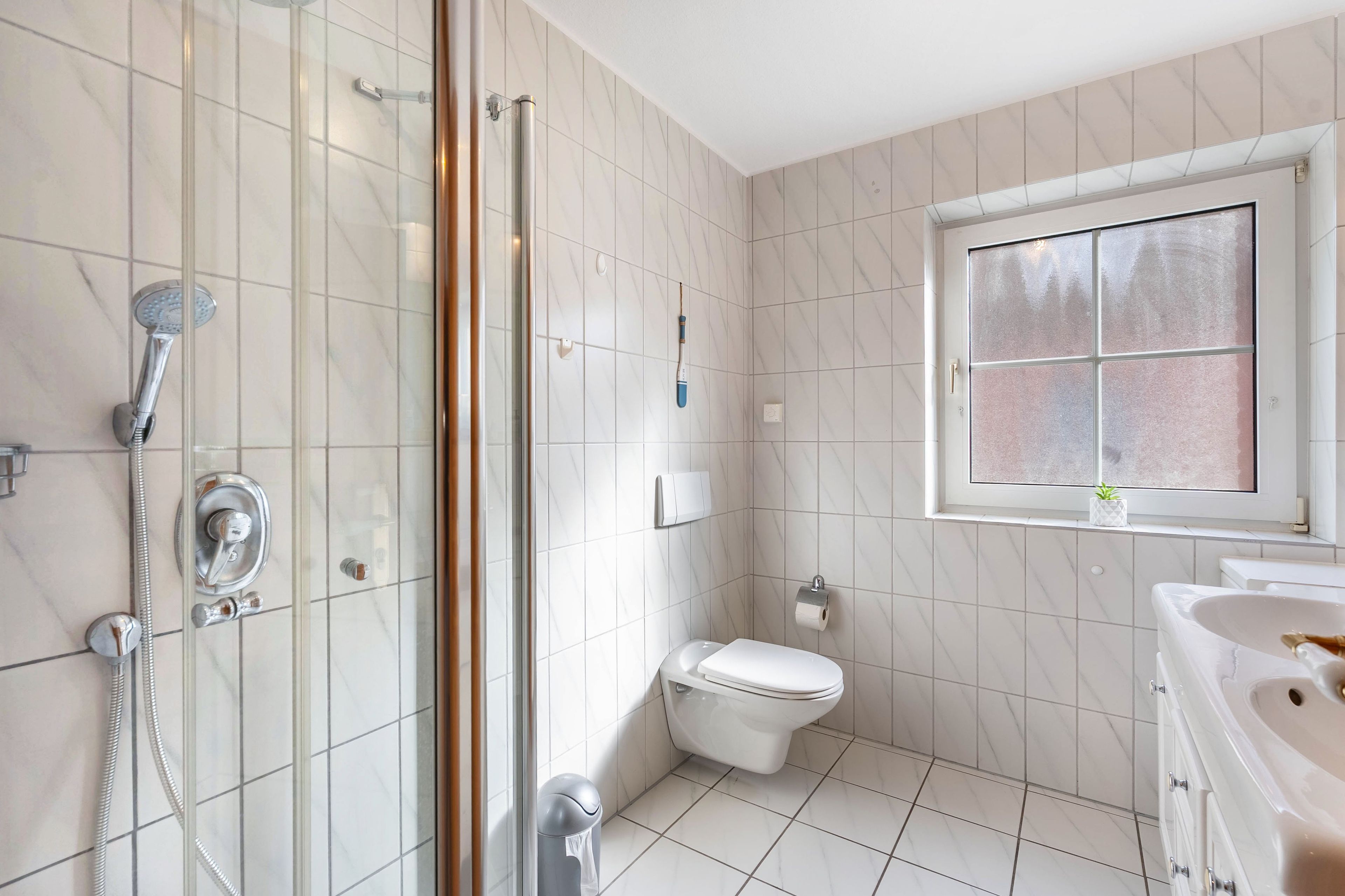 Een badkamer met een douche met glazen wand, een toilet en een wastafel.