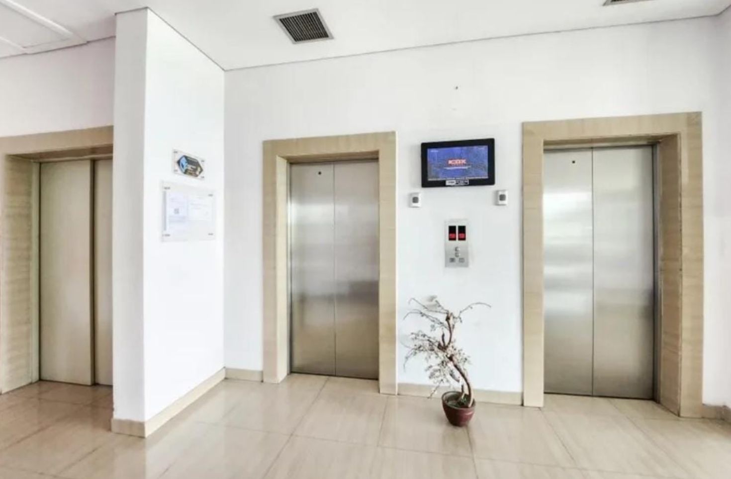 A clean, modern elevator area with three elevators, a digital display, and a potted plant.