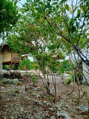 A rustic outdoor area with a wooden structure, possibly a guesthouse, surrounded by dense foliage and a rocky ground.