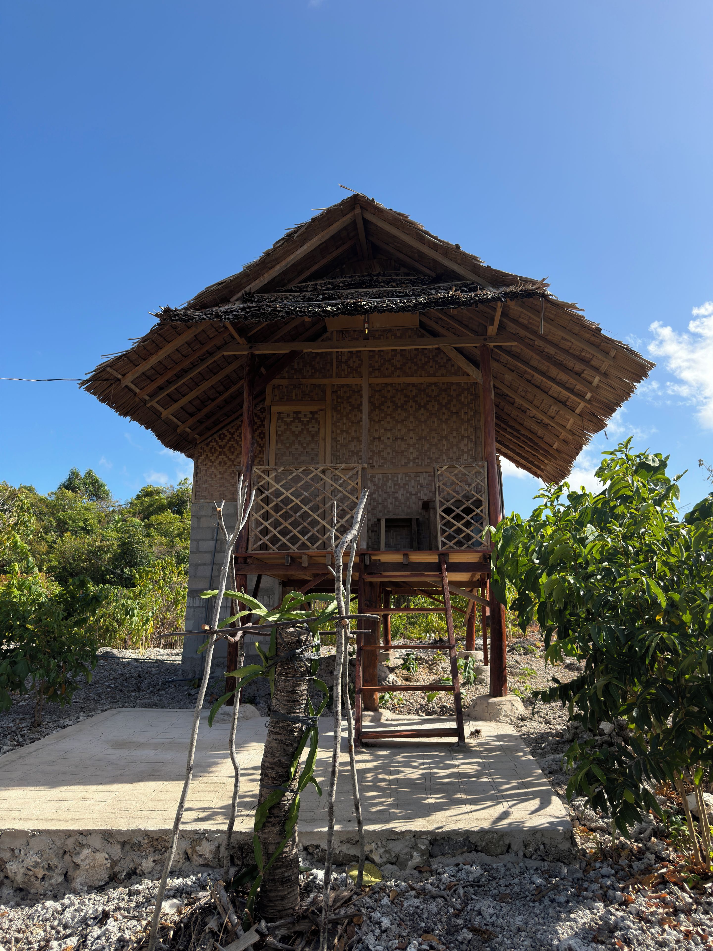 A traditional wooden structure with a thatched roof, surrounded by vegetation and gravel.