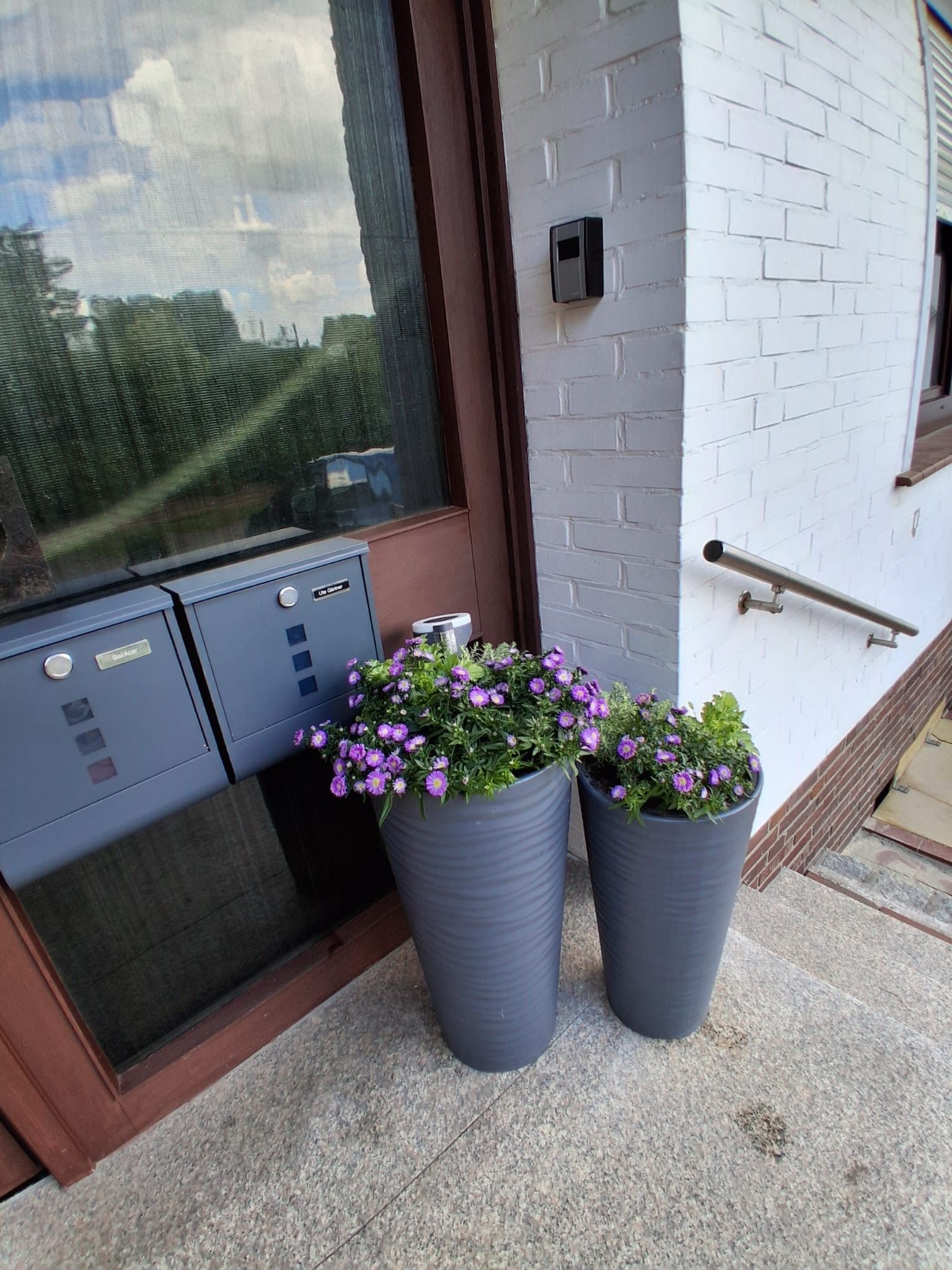 Une entrée d’immeuble avec une porte, une boîte aux lettres et deux grands jardinières ornées de fleurs violettes.