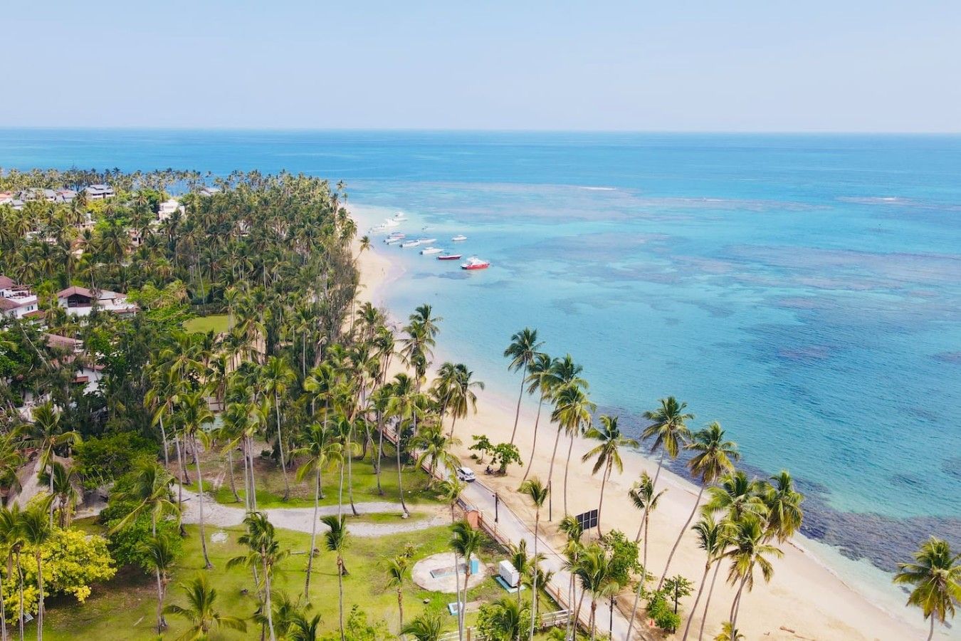 A coastal view with a beach, palm trees, and a clear sky.