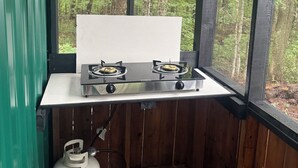 A small kitchen with a gas stove and a propane tank, overlooking a forest.
