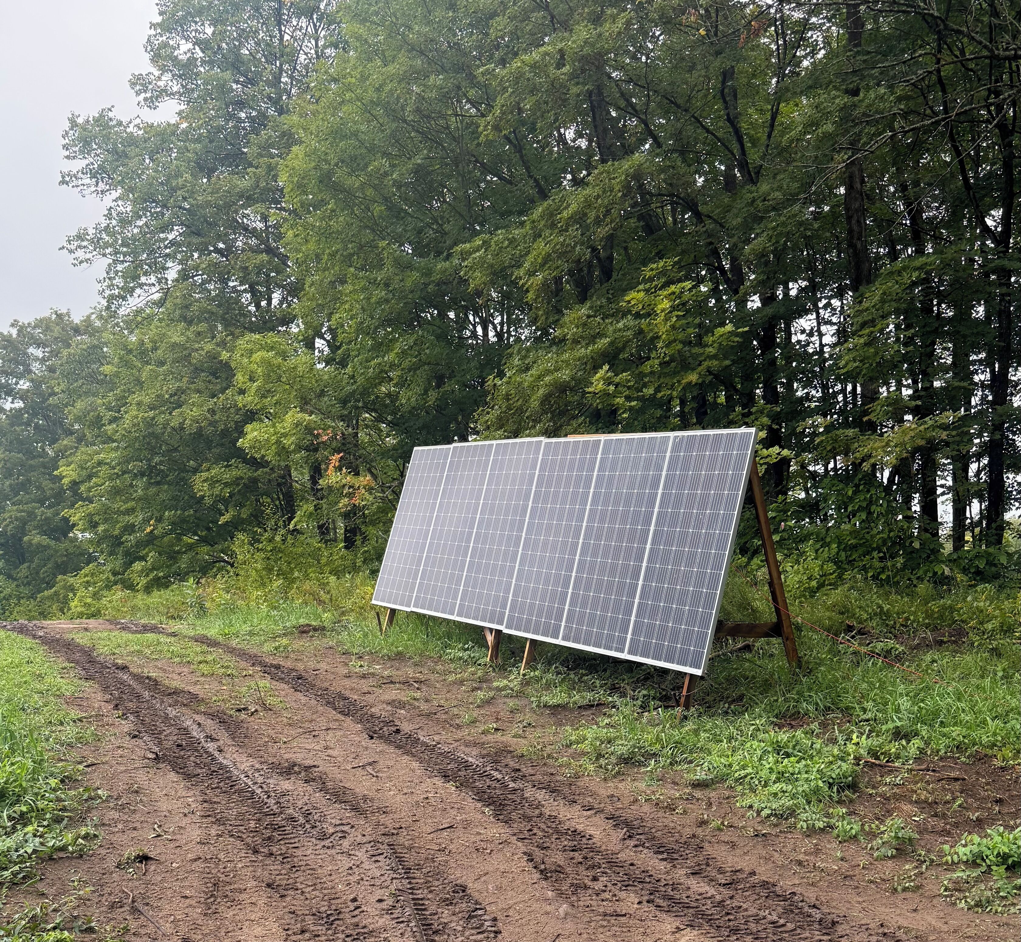 A solar panel on a dirt path surrounded by trees.