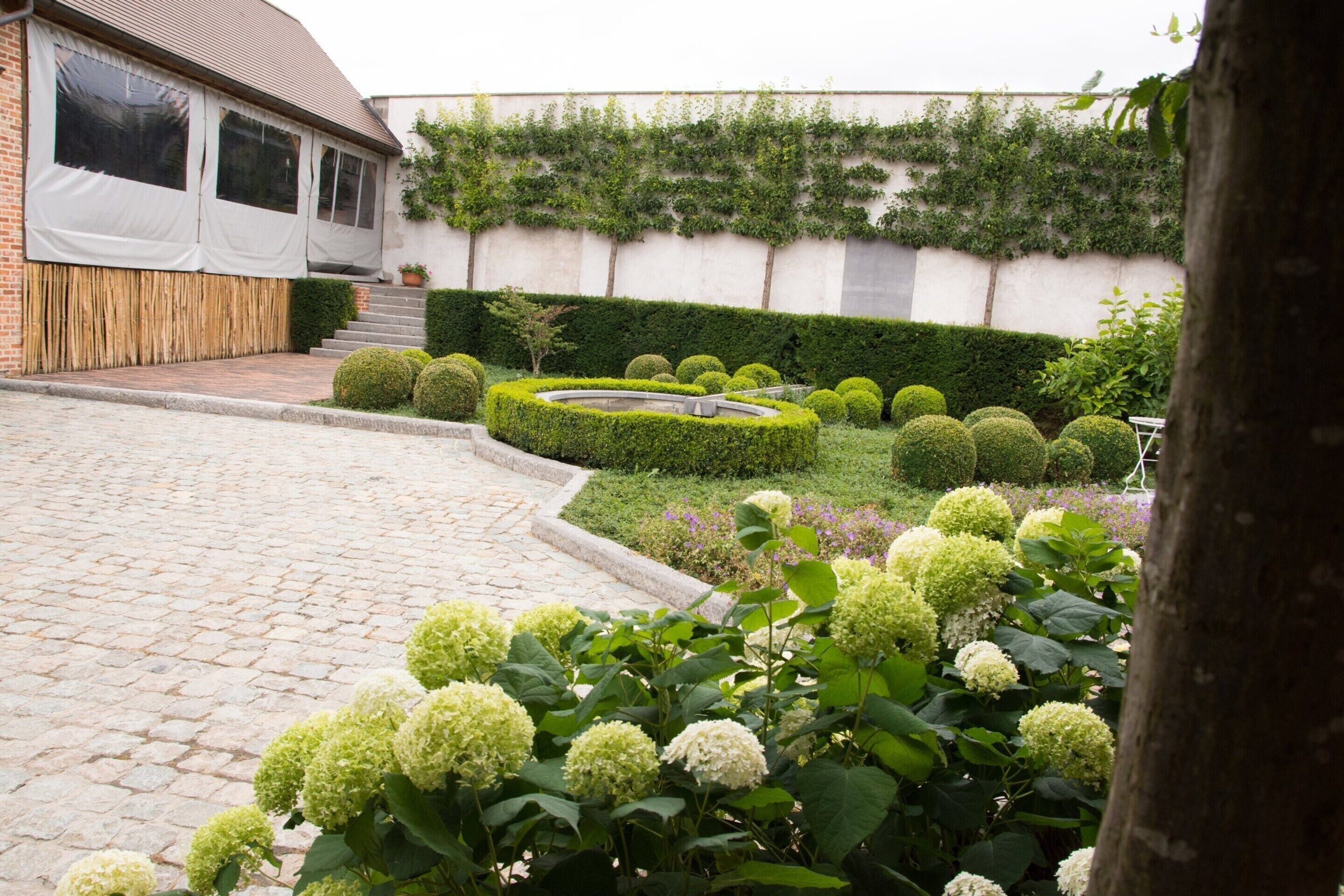 A garden with a paved walkway, neatly trimmed hedges, and a variety of plants.