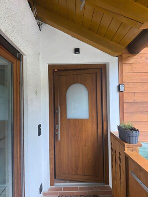 Eine Holztür mit Milchglasfenster, eine kleine Außenleuchte darüber und ein Blumentopf rechts.