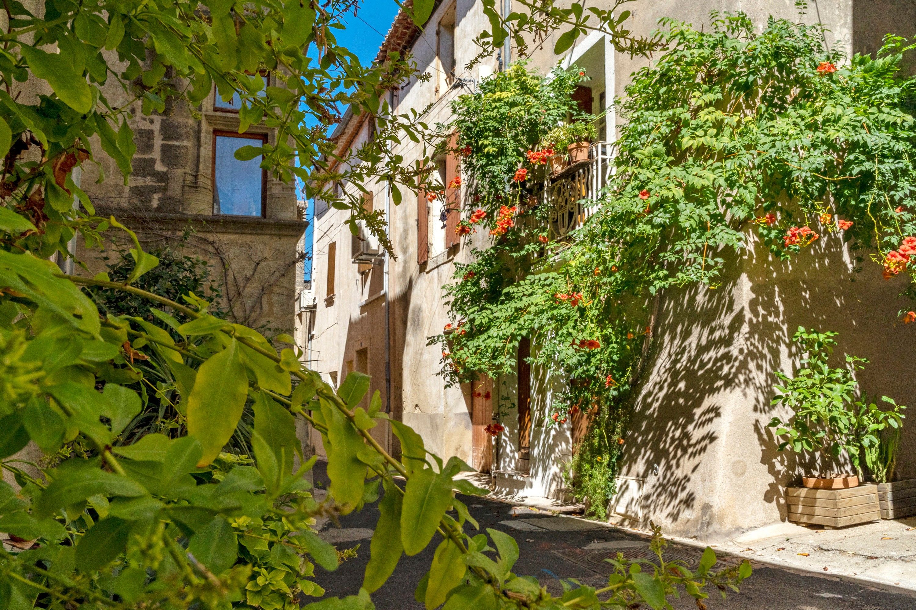 Une rue étroite, bordée de bâtiments des deux côtés, dont certains sont recouverts de lierre et de fleurs.