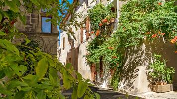 Uma rua estreita com edifícios em ambos os lados, alguns com trepadeiras e flores.